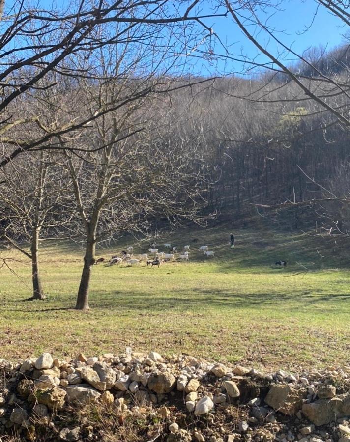 Soko Holiday Home Bihać 外观 照片
