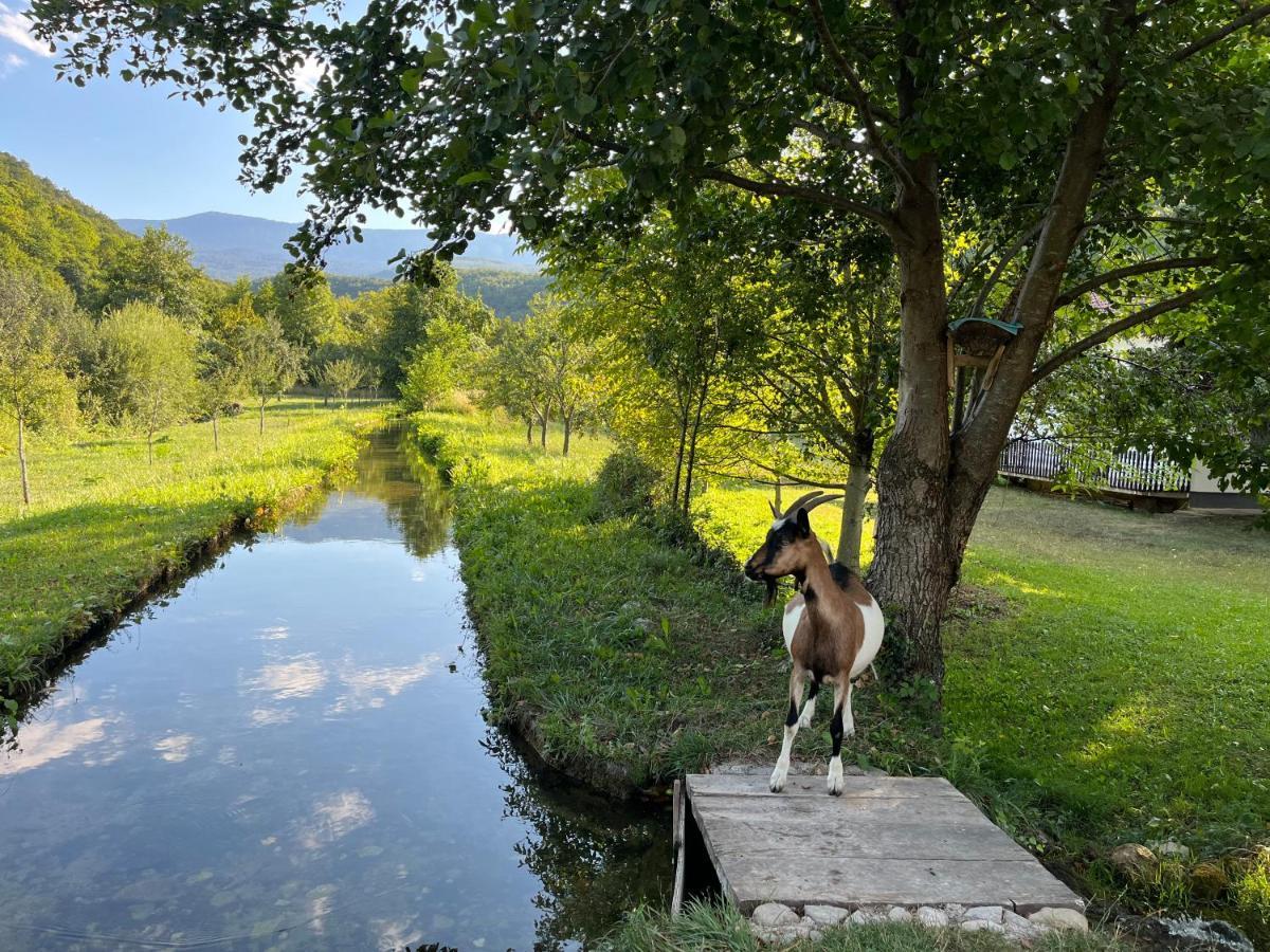 Soko Holiday Home Bihać 外观 照片